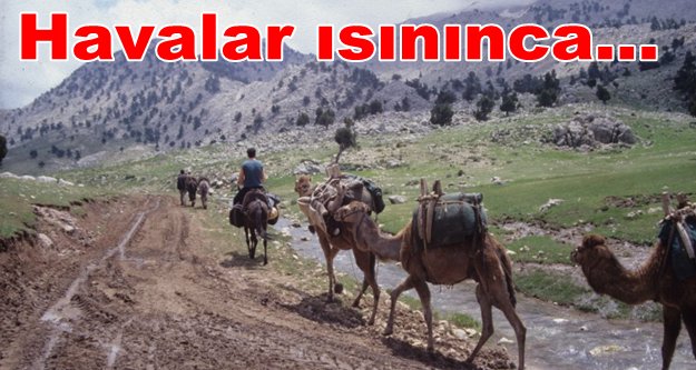 Yörükler yaylalara göç etmeye başladı