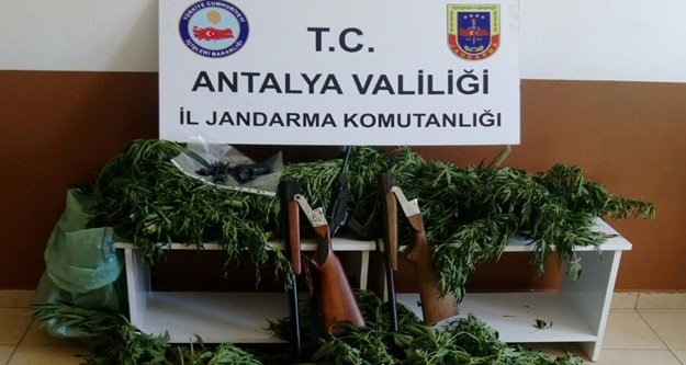 Alanya'da 10 kilo esrar ele geçirildi