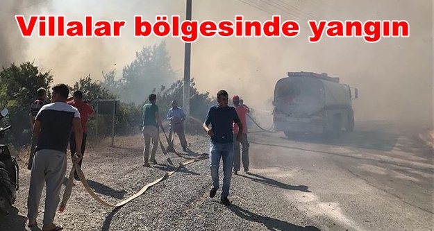 Alanya'da bir yangın daha