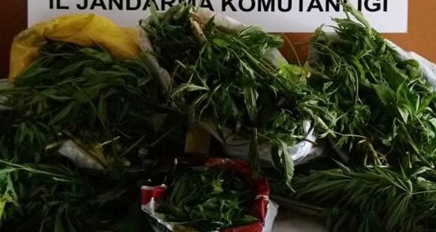 Alanya'da flaş uyuşturucu operasyonu