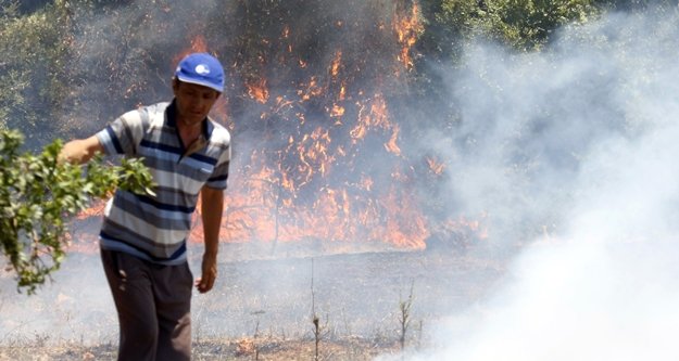 Çalılık yangını kontrol altına alındı: 5 ev boşaltıldı