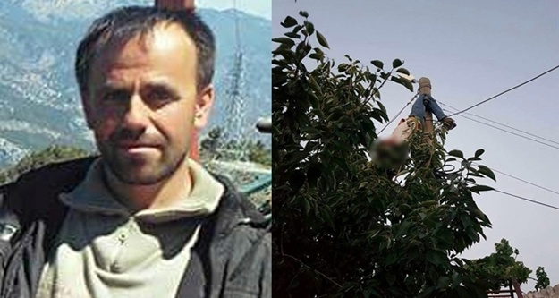 Çıktığı elektrik direğinde akıma kapılıp öldü