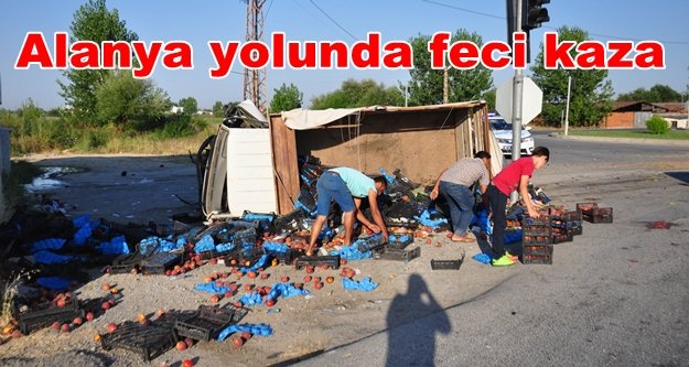 Meyve yüklü kamyonet devrildi