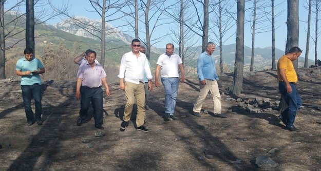 MHP'li heyetten Sapadere'de inceleme