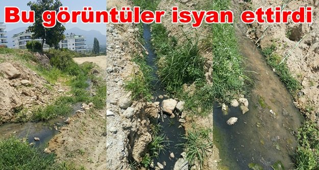 Muhtarın foseptik isyanı