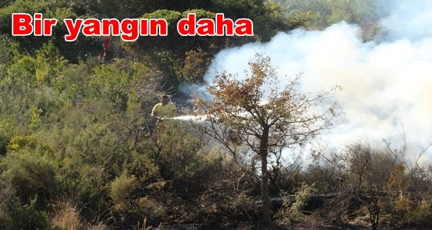Şok! Alanya'da yangın çıktı