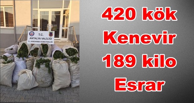 Alanya'da flaş uyuşturucu operasyonu