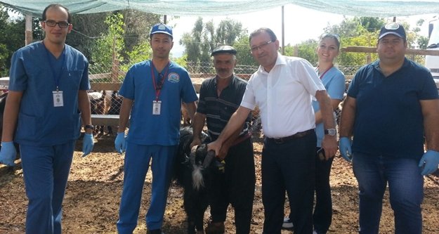 Alanya İlçe Tarım Kurban Bayramı'na hazır