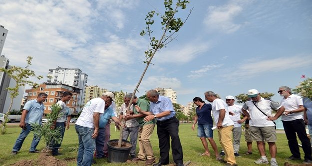 Atom bombasına direnen ağaç Antalya'da kök salacak