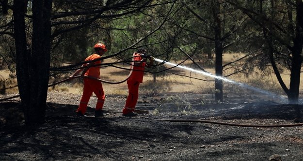 Milli park yakınlarında orman yangını