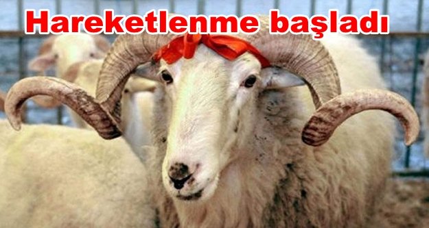 Turizme müjde: Kurban Bayramı tatili uzatılıyor mu?