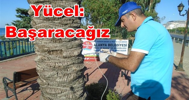Alanya Belediyesi'nden ağaçlar için biyolojik mücadele