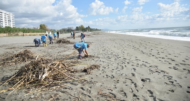 Alanya'da sahiller temizleniyor