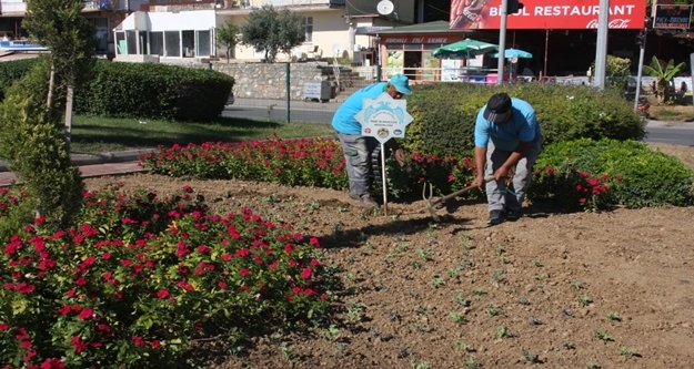 Alanya kış ayında da rengarenk olacak