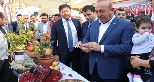 Bakan Çavuşoğlu: Bu narı tüm dünyaya tanıtmalıyız