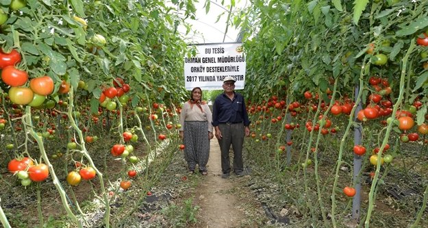 Bakanlıktan köylülere seracılık desteği