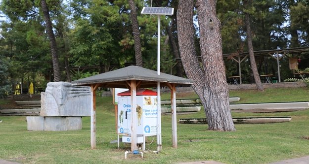 Büyükşehir sokak hayvanlarına sahip çıkıyor