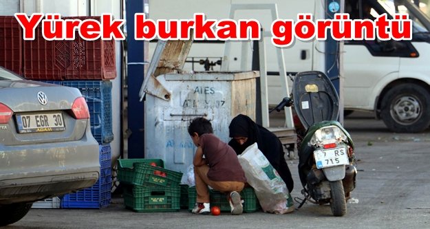 Çöp konteynerinden pazar alışverişi