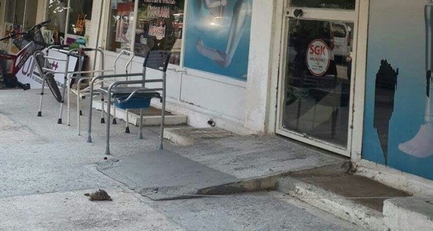 Kaplumbağanın kabuğundan iple bağlanması tepki çekti