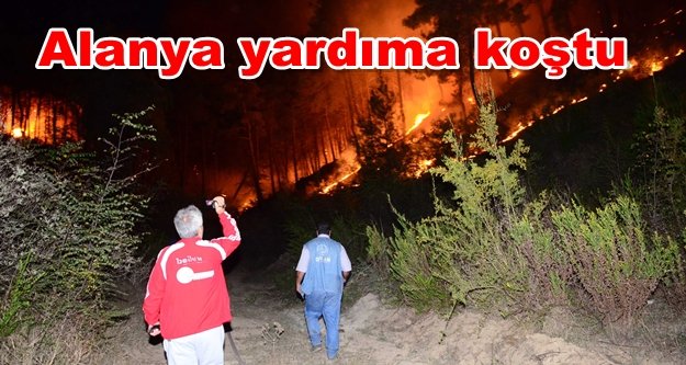 Komşuda neler oluyor? 1 gecede 5 yangın