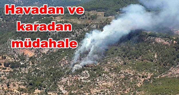 Panik! Alanya'da orman yangını