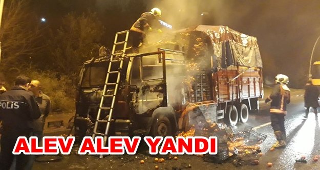 Alanya'dan giden kamyon Ankara'da küle döndü