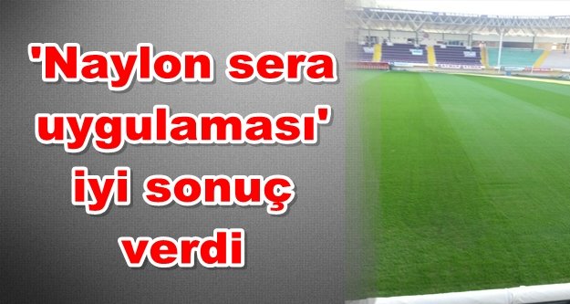 Belediye zemini maça yetiştirdi