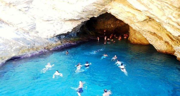 Fok ölümlerinin sebebi insanlar