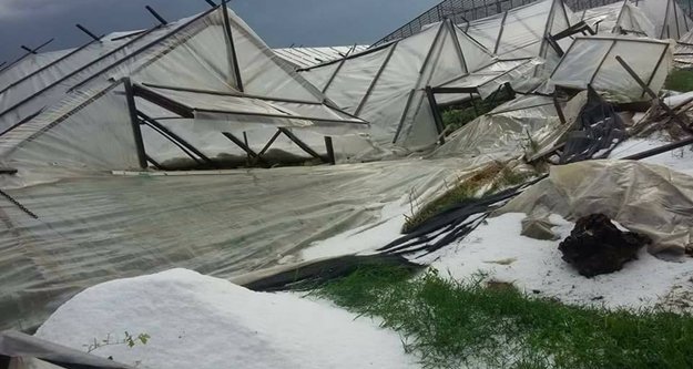 Kısa süreli yağış Alanya'da seraları vurdu