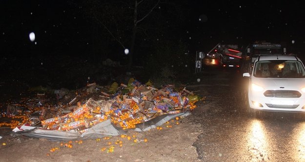 Narenciye yüklü kamyon devrildi, sürücüsü öldü