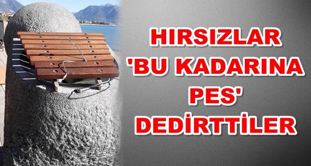 Alanya'da akıl almaz sanat hırsızlığı