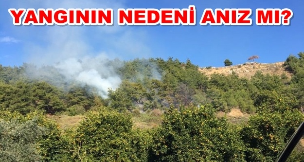Alanya Dimçayı'nda yangın paniği