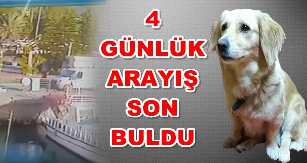 Alanya İskelesi'nden güzel haber