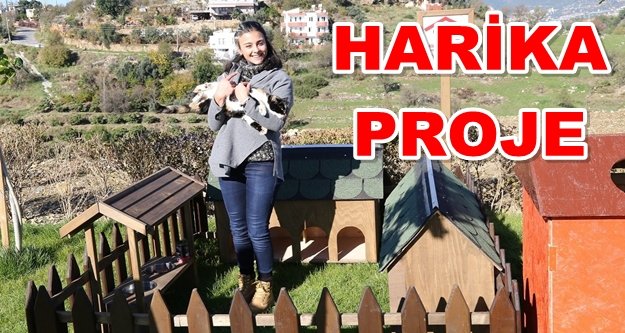 ALKÜ'den 'Pati Çatısı' projesi