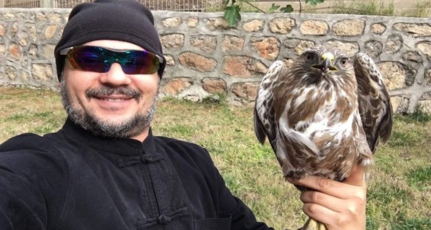 Aracın çarpıp kaçtığı şahin tedavi altına alındı