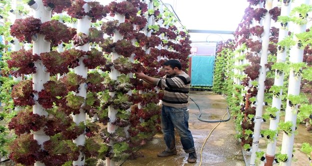 Dikey topraksız tarım ile 9 dönem ürün alıyor