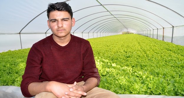 Gölete çevirdiği serada maruldan servet kazanıyor