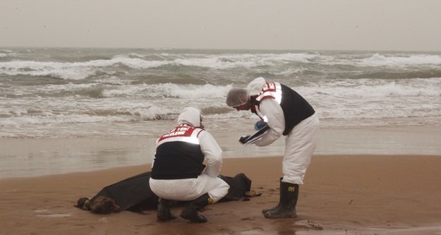 Teknesi alabora olan veteriner hekim cesedi kıyıya vurdu