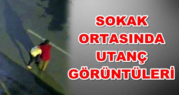 Yolda yürüyen kadına saldırıp taciz etti