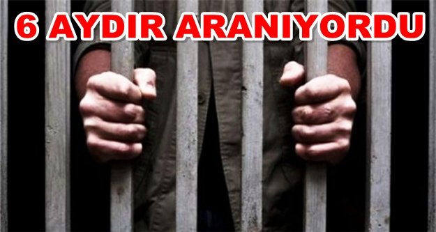 Alanya'daki cezaevi firarileri yakalandı