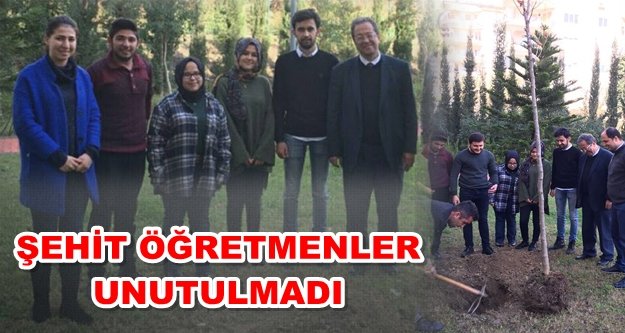 Alanya'nın en anlamlı ağacı