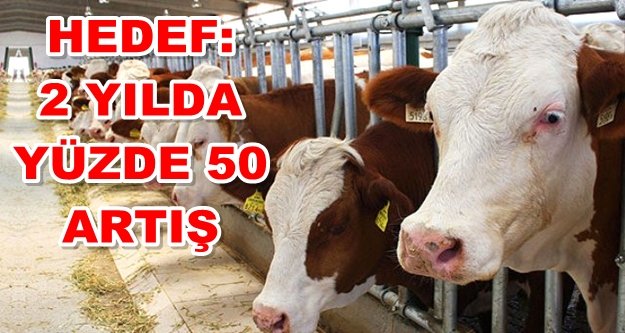 Alanyalı firma her geçen gün büyüyor!