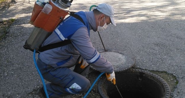 Sinekle mücadele hız kesmiyor