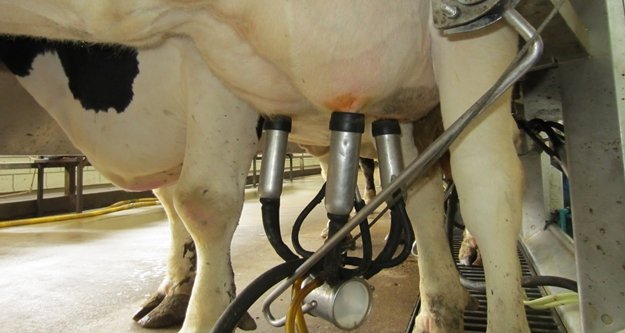 Süt üreticisi zamdan memnun değil