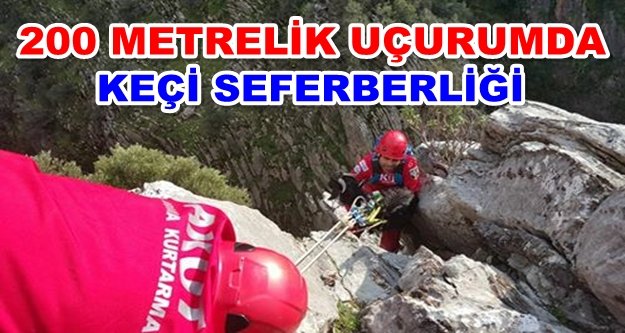 AKUT Alanya keçi için seferber oldu