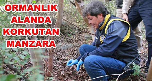 Alanya'da dehşet! Kemikleri bulundu