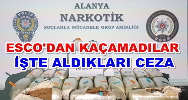 Alanya'da uyuşturucu tacirlerine ceza yağdı