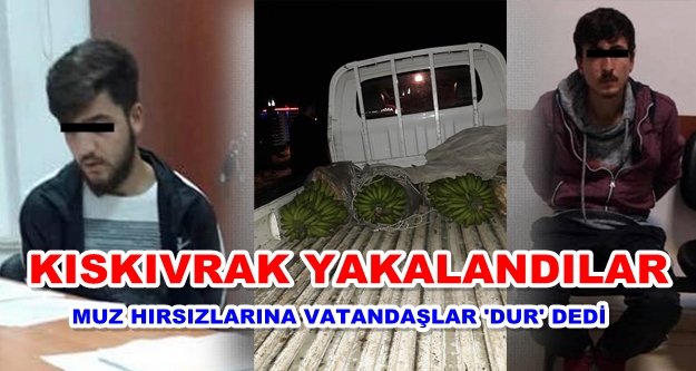 Alanya'daki muz hırsızları yakalandı