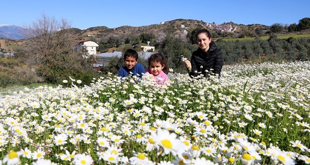 Düşen ilk cemre baharı beraberinde getirdi