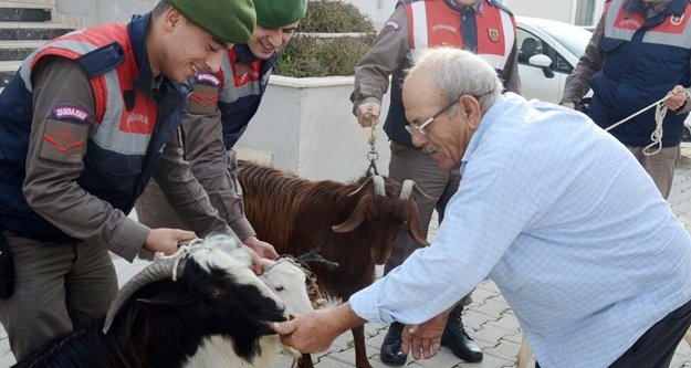 Küçükbaş hayvan hırsızları yakalandı
